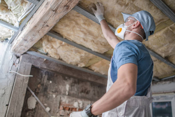 Best Insulation Maintenance and Repair in Pleasant Prairie, WI